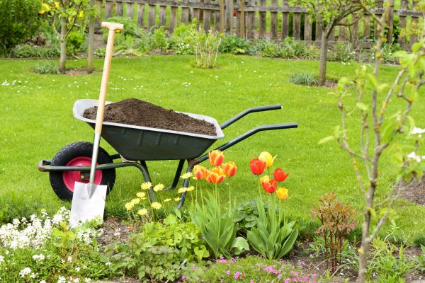Spring Yard Renovation in Redford