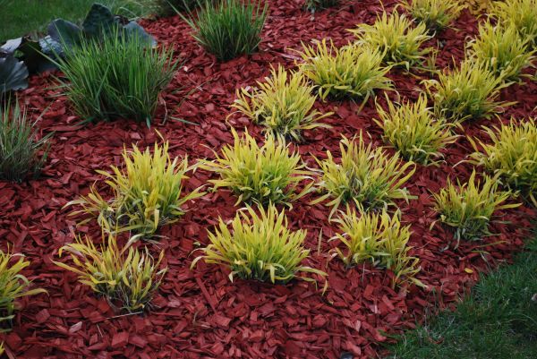 Red Mulch Installation in Redford