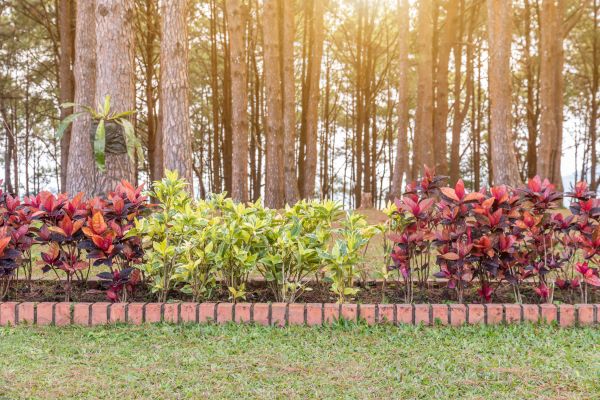 Small Garden Landscaping in Redford