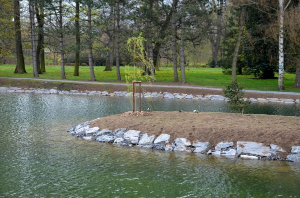 Pond Landscaping Service in Redford