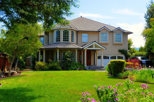 Large Yard Landscaping in Redford