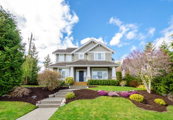 Landscaping Replacement in Redford