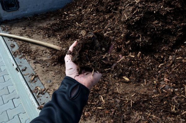Condo Mulching in Redford