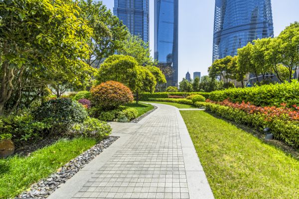 Commercial Landscaping in Redford